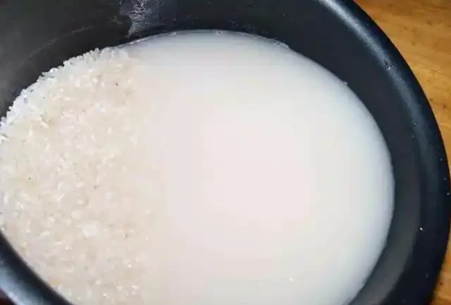 淘米水不要倒掉，簡單一處理澆黃金葛，既能省錢又能增添肥效