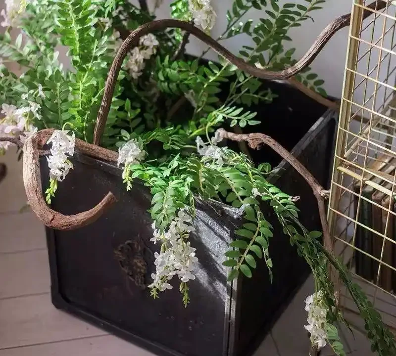 (必收藏)植物葉子發黃的七個原因,對應七種處理方法
