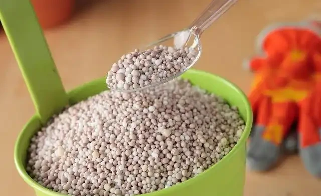雪鐵芋最喜歡1種肥,用好新芽成對冒,長成一盆「錢串」樹