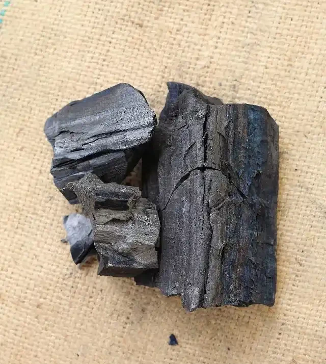 雪鐵芋最喜歡1種肥,用好新芽成對冒,長成一盆「錢串」樹