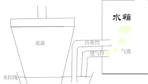 放假沒人澆水,4個方法花兒「喝飽水」,出門1個月也放心!