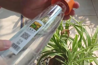 放假沒人澆水，4個方法花兒「喝飽水」，出門1個月也放心！