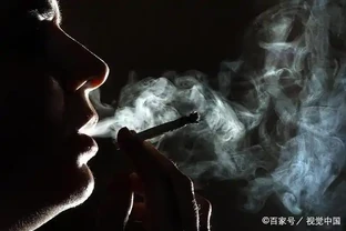 這6種花是吸菸「小能手」，再多「煙鬼」也不怕，淨化空氣效果好