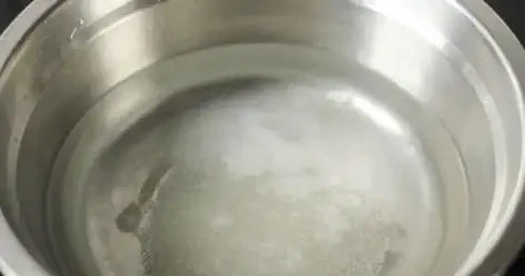 教你在家自制「長根水」，操作簡單易上手，讓根鬚越長越旺