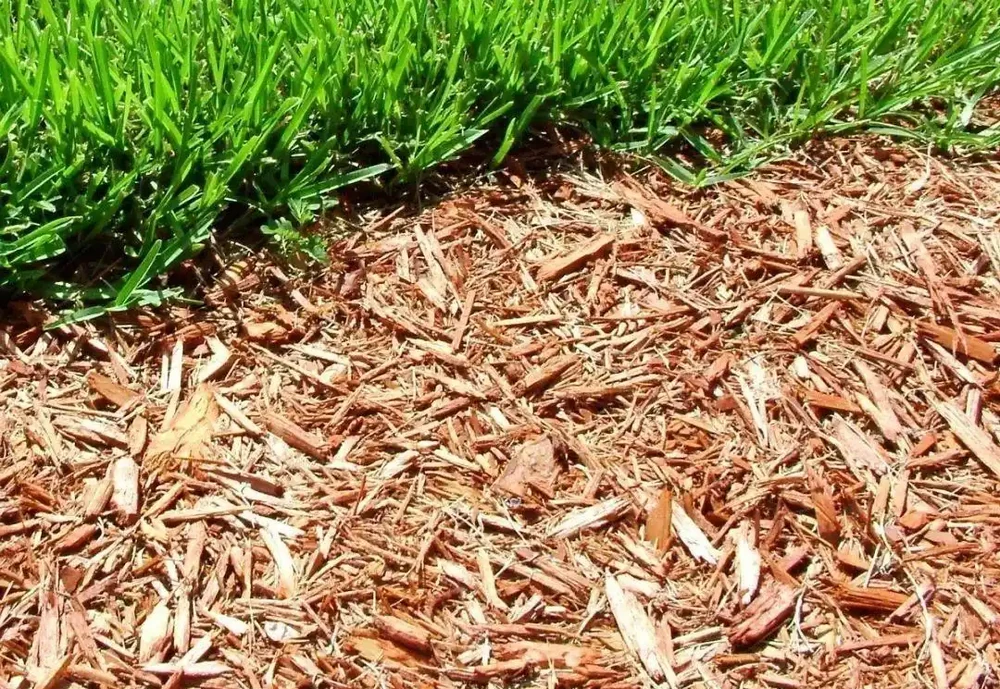 這7種覆蓋物鋪土面上好看、便宜又實用,保持水分,抑制雜草
