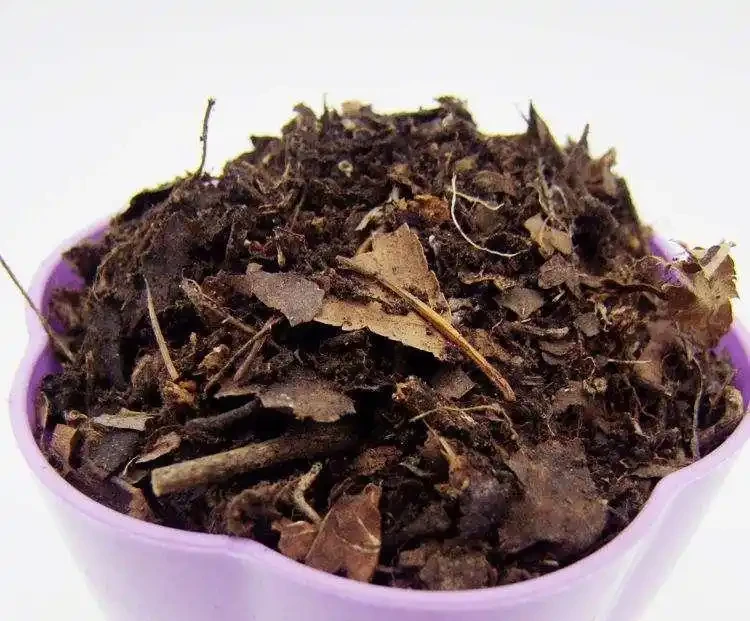 茶花用什麼土栽種好？分享3個配土方法，簡單好操作，不容易腐根