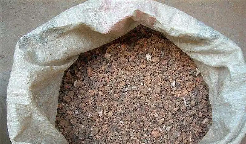茶花用什麼土栽種好？分享3個配土方法，簡單好操作，不容易腐根