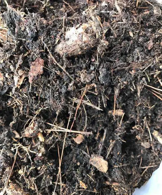 茶花用什麼土栽種好？分享3個配土方法，簡單好操作，不容易腐根