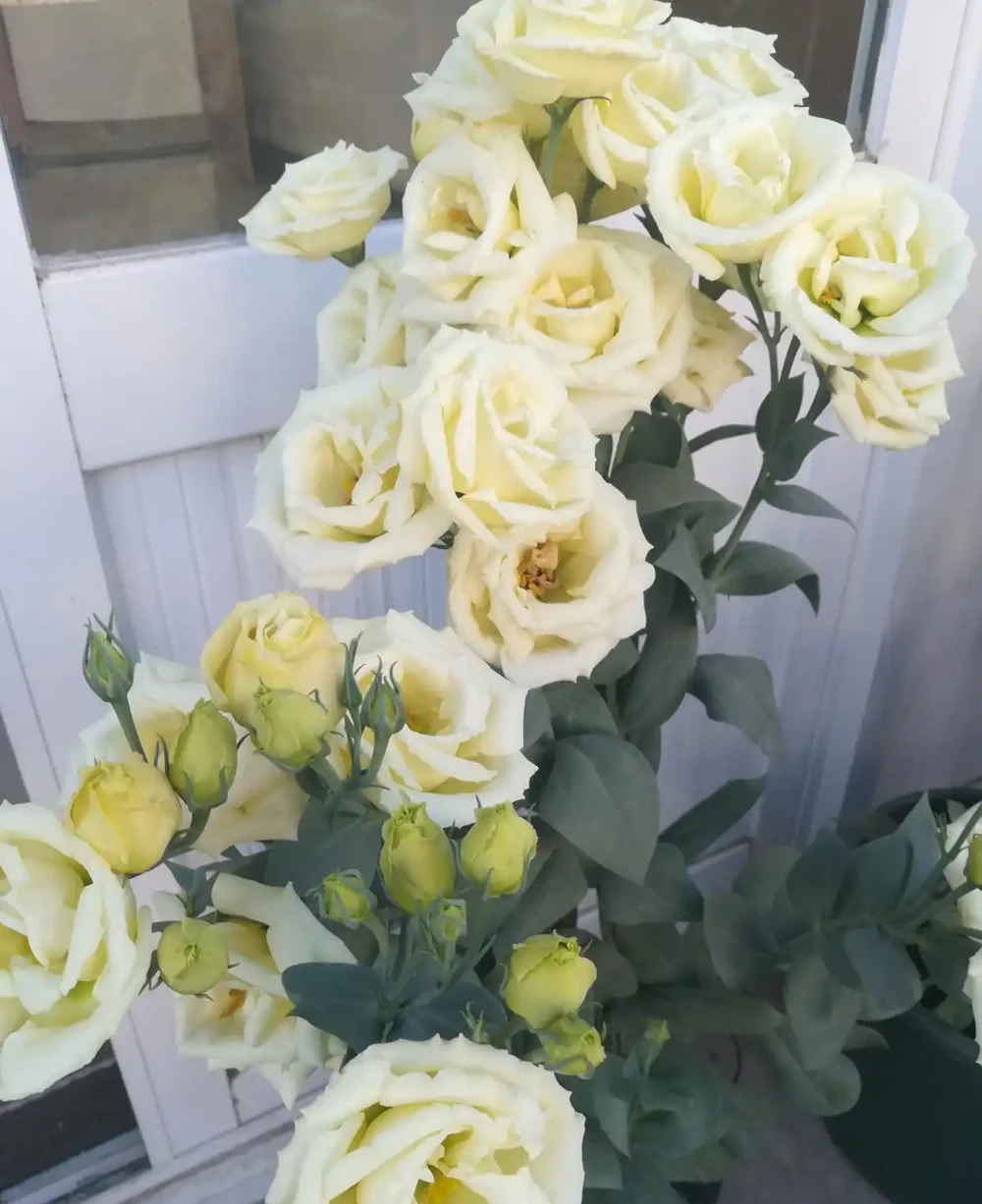 種植不難