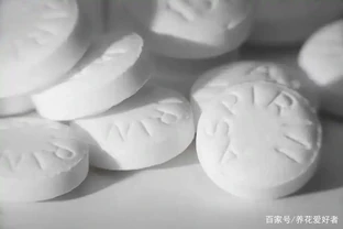 教你四種自制「長根水」，省錢又好用，長根效果棒棒噠！