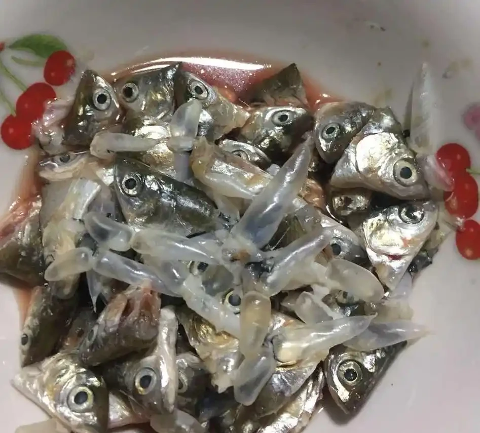 自制3種「營養液」,春天「澆花」肥效足,黃金葛吊蘭超喜歡
