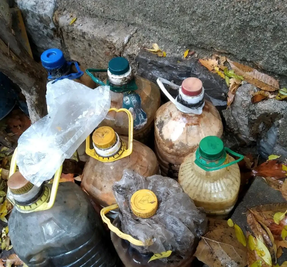 自制3種「營養液」,春天「澆花」肥效足,黃金葛吊蘭超喜歡