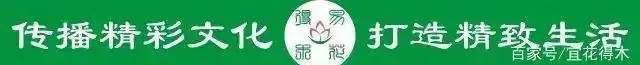 金彈子花香果美，古稱吉慶果，如何辨識公株母株？