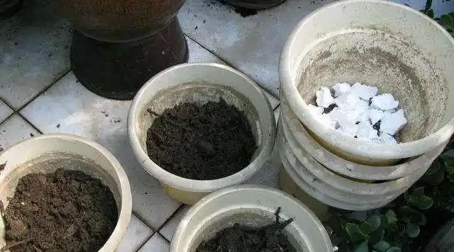 花盆太深,是否可以在盆底部墊泡沫?