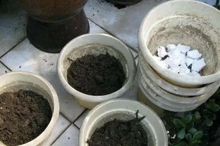 花盆太深，是否可以在盆底部墊泡沫？