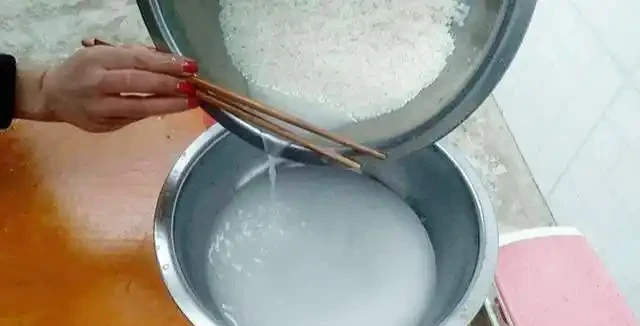 淘米水兌點它,營養足酸性大,發財樹澆一點,新葉新芽一起冒