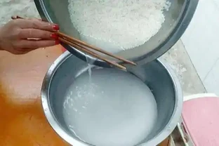 淘米水兌點它，營養足酸性大，發財樹澆一點，新葉新芽一起冒