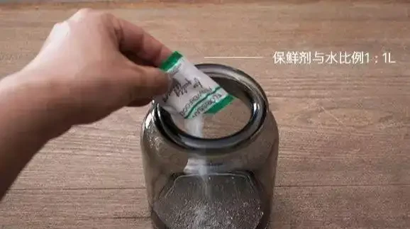 收到的玫瑰花,4個小技巧,不凋零不早落,愛情長長久久