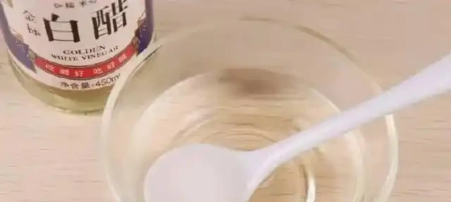 茶花養不活,黃葉掉葉,3種「助長劑」,茶花再也不怕掉葉子
