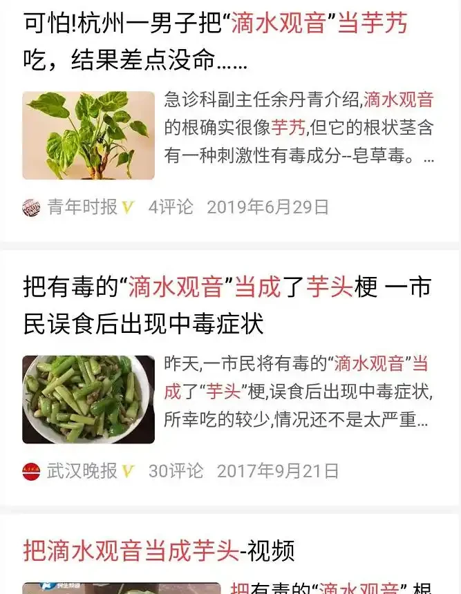 上圖為網上搜尋截圖