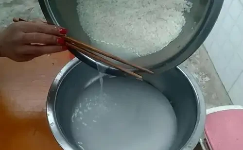 養花用淘米水,不要亂用,學會這幾點,方可開滿盆!
