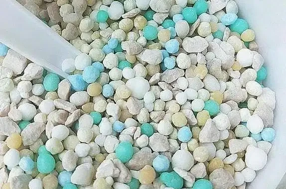玫瑰插枝長根了,移植後卻死了。注意8個細節,移植一顆活一棵