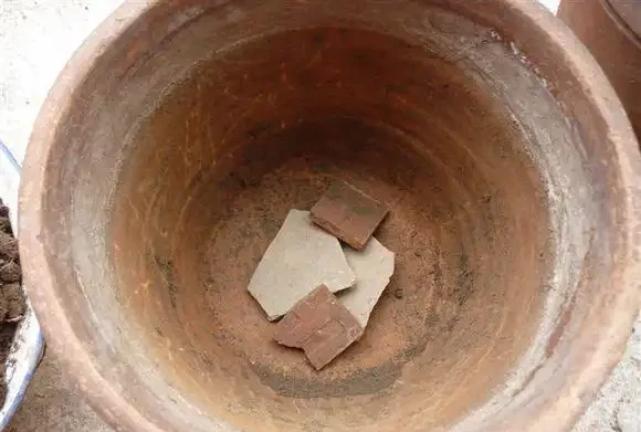 3種東西是墊盆底的好材料,種花前放一點,疏水透氣,花卉不腐根
