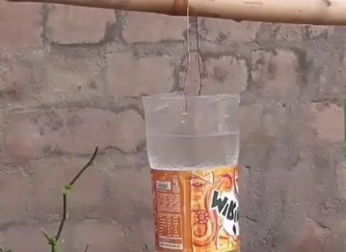 養花怕培養土積水,用這3種自制澆水神器,盆栽花再也不怕腐根