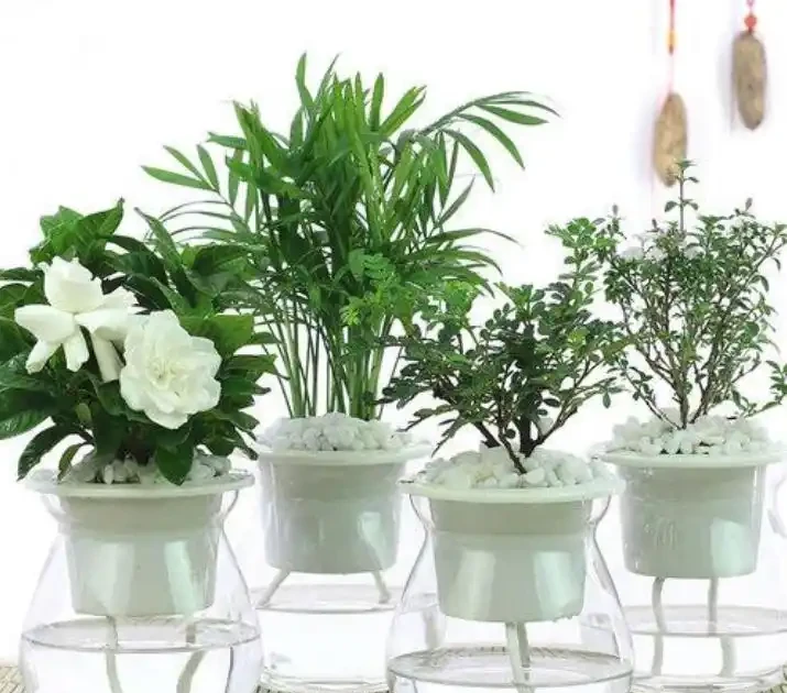 養花怕培養土積水,用這3種自制澆水神器,盆栽花再也不怕腐根
