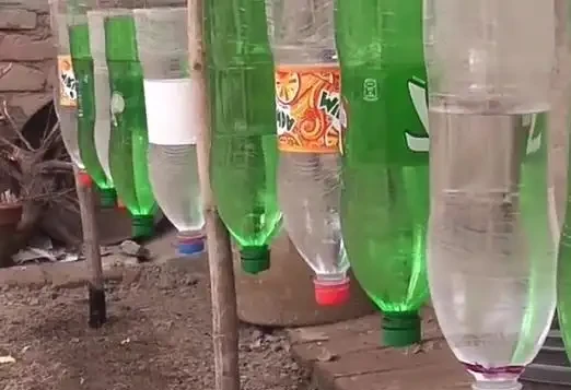 養花怕培養土積水,用這3種自制澆水神器,盆栽花再也不怕腐根