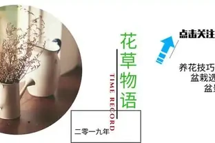 要想養好仙人掌，只需要掌握這4點，蹭蹭的長成高大個！