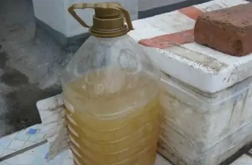 養黃金葛「只澆水」是不行的，3種肥料任選一種用，都能讓它長滿盆