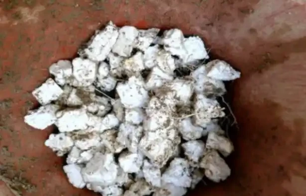 盆太高澆水腐根怎麼辦?這4種「小東西」墊盆底,不用再擔心!