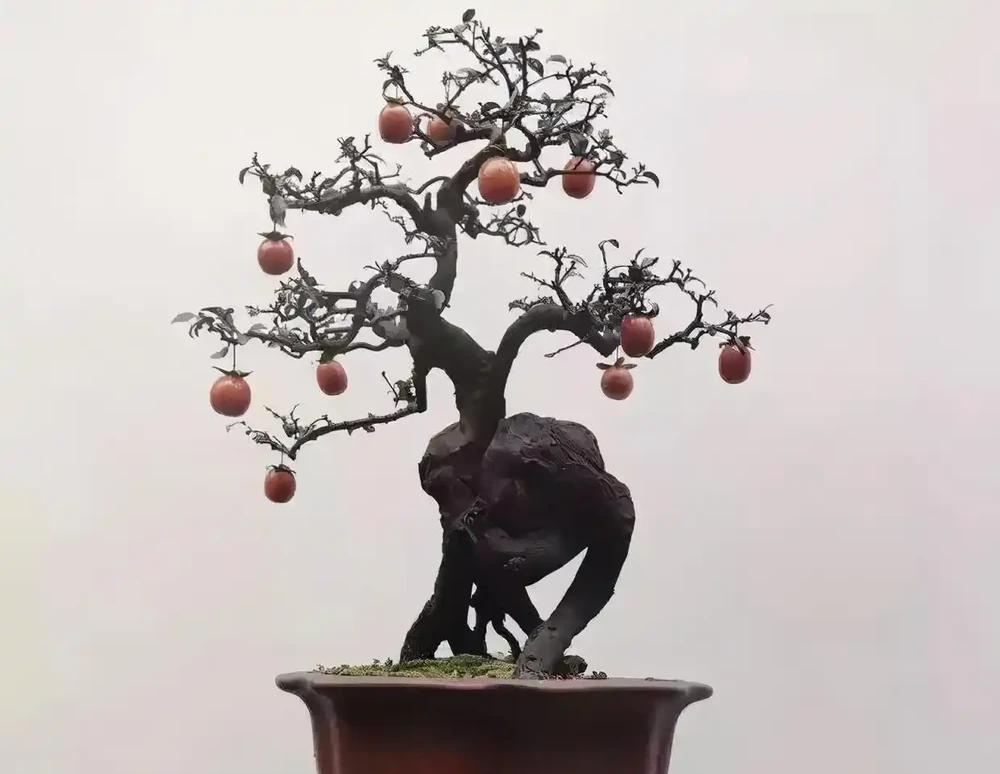 金彈子不結果,主要是5個原因造成的,7個方法幫你提升座果率