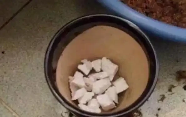 春季換盆「墊底」,十種材料不用花錢買,好用又透氣,趕緊去找點