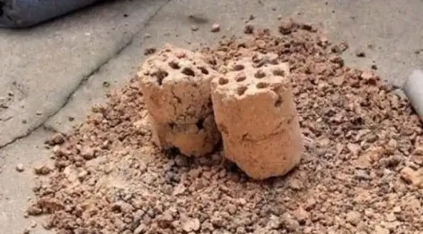 春季換盆「墊底」,十種材料不用花錢買,好用又透氣,趕緊去找點