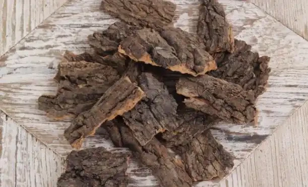 春季換盆「墊底」,十種材料不用花錢買,好用又透氣,趕緊去找點