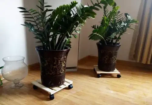 養花不花錢,一些「大顆粒」,墊花盆裡,瀝水又透氣,養花一級棒