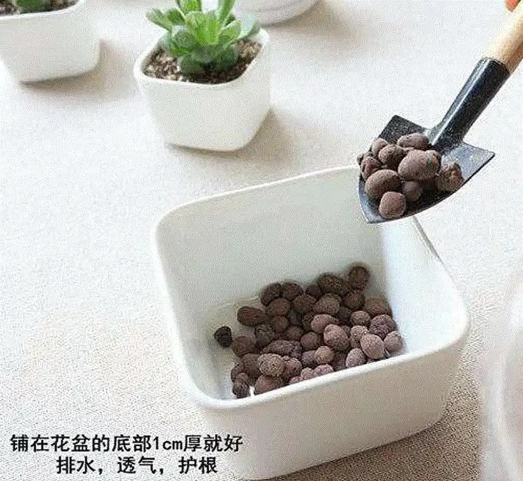 養花不花錢,一些「大顆粒」,墊花盆裡,瀝水又透氣,養花一級棒