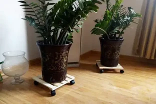 養花不花錢，一些「大顆粒」，墊花盆裡，瀝水又透氣，養花一級棒