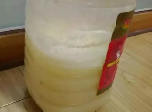 淘米水可以直接澆花嗎?方法不對會把花澆死