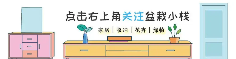 黃金葛繁殖竅門:一片葉子也能養出一大盆,關鍵做好這三點