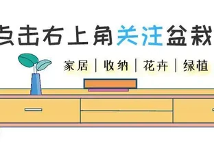 黃金葛繁殖竅門：一片葉子也能養出一大盆，關鍵做好這三點
