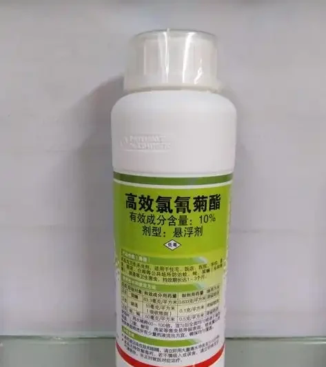 玫瑰的葉子被蟲吃的,都是洞怎麼辦?這個蟲的治