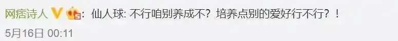 史上最慘仙人掌球!網友「切西瓜」式解剖上熱搜,專家:還有機會搶救
