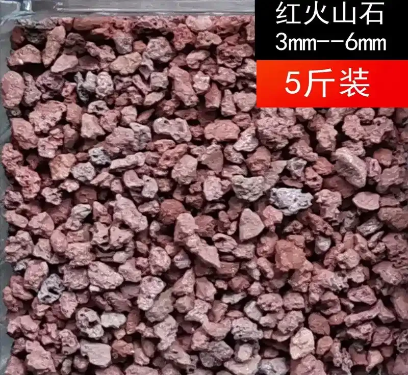 盤點一下「養花」離不開的「3種」輔助性「物件」
