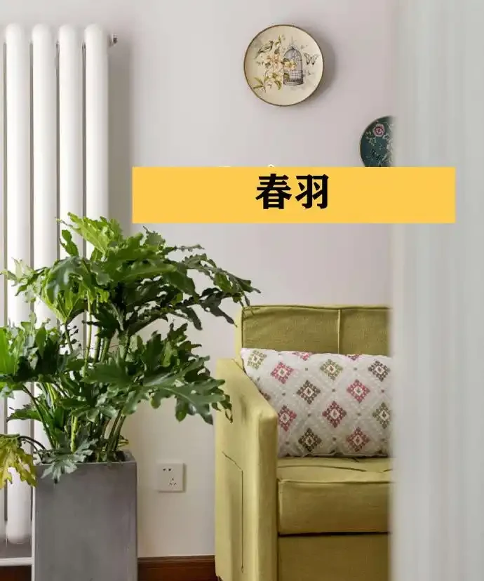 聰明人在客廳擺綠植,首選這9種,好看又好養,室內更加溫馨活潑