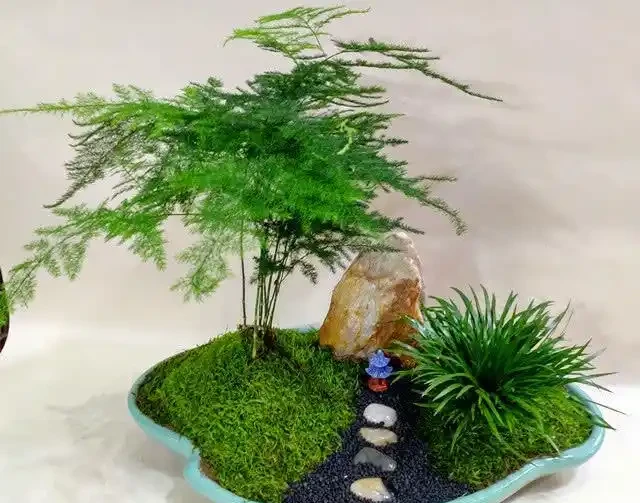 16種耐陰花,就算陽光不足,也能年年生長、開花