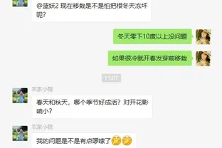 地植藤本玫瑰什麼時候移植容易活？藍妖以親身經驗，給您3點建議