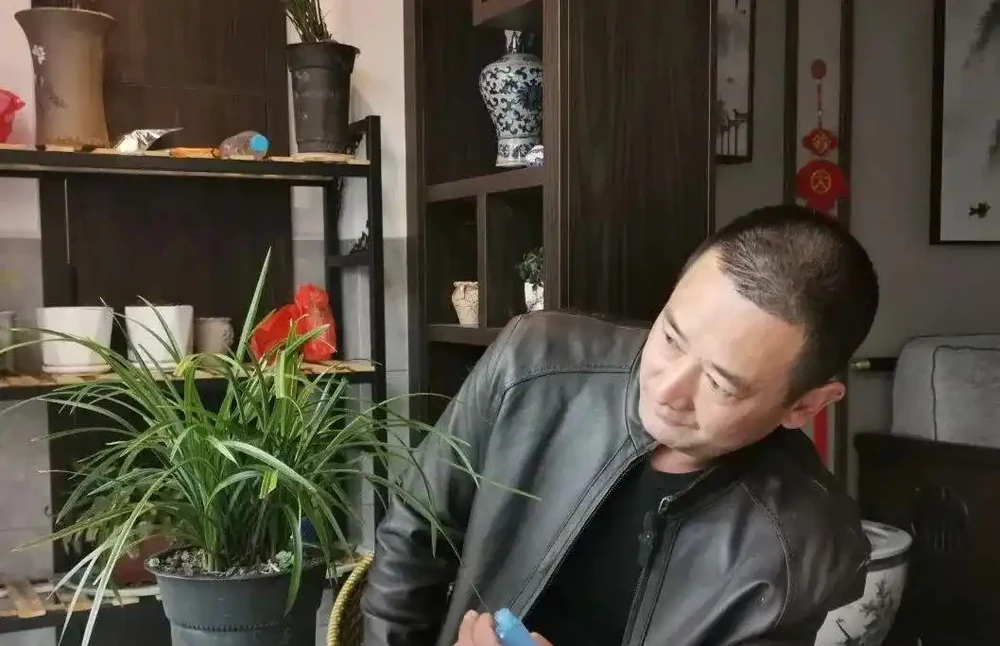 這樣的蘭花,還能恢復生機?蘭友都不敢相信了